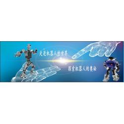 蘇州金邁科教育科技 多圖 紹興樂博機(jī)器人培訓(xùn)批發(fā)